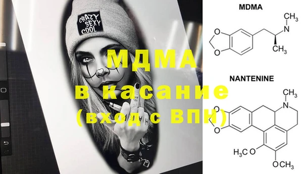 индика Богородск