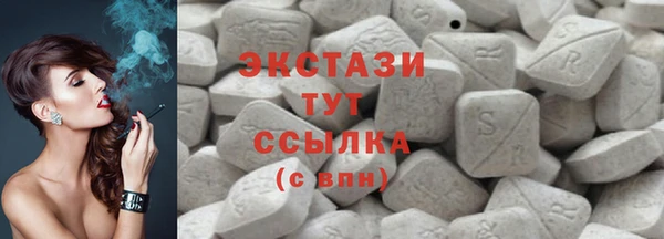 индика Богородск