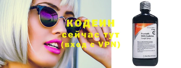 индика Богородск