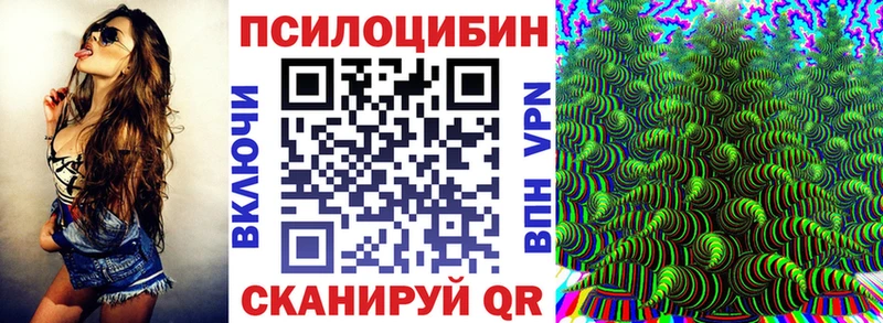 mega tor Ачхой-Мартан Псилоцибиновые грибы MAGIC MUSHROOMS как найти