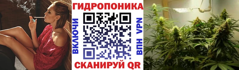 купить закладку  Ачхой-Мартан  Канабис THC 21% 